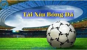 tài xỉu bóng đá qh88