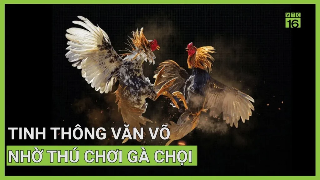 mẹo cược đá gà qh88
