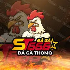 daga thomo qh88